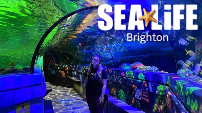 SEA LIFE Brighton 768x432